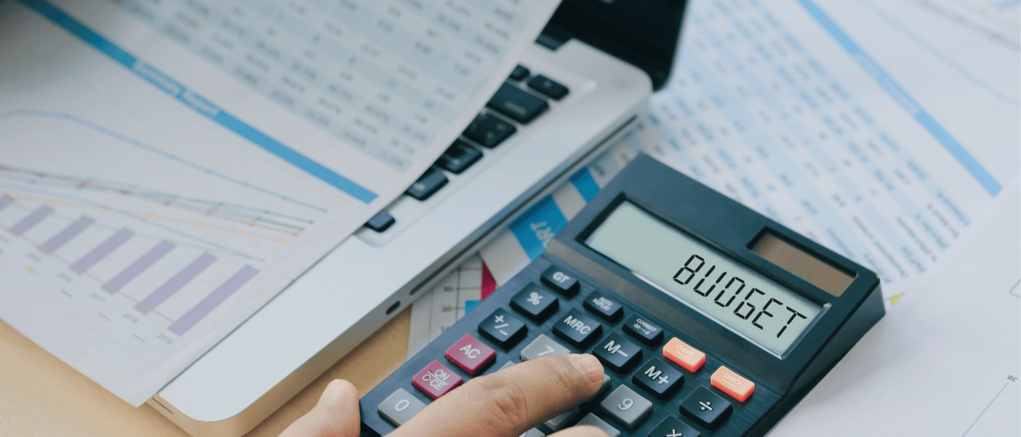 Professional Services Supporting Entrepreneurs by The Entrepreneurial CPA working client budgets and planning services.